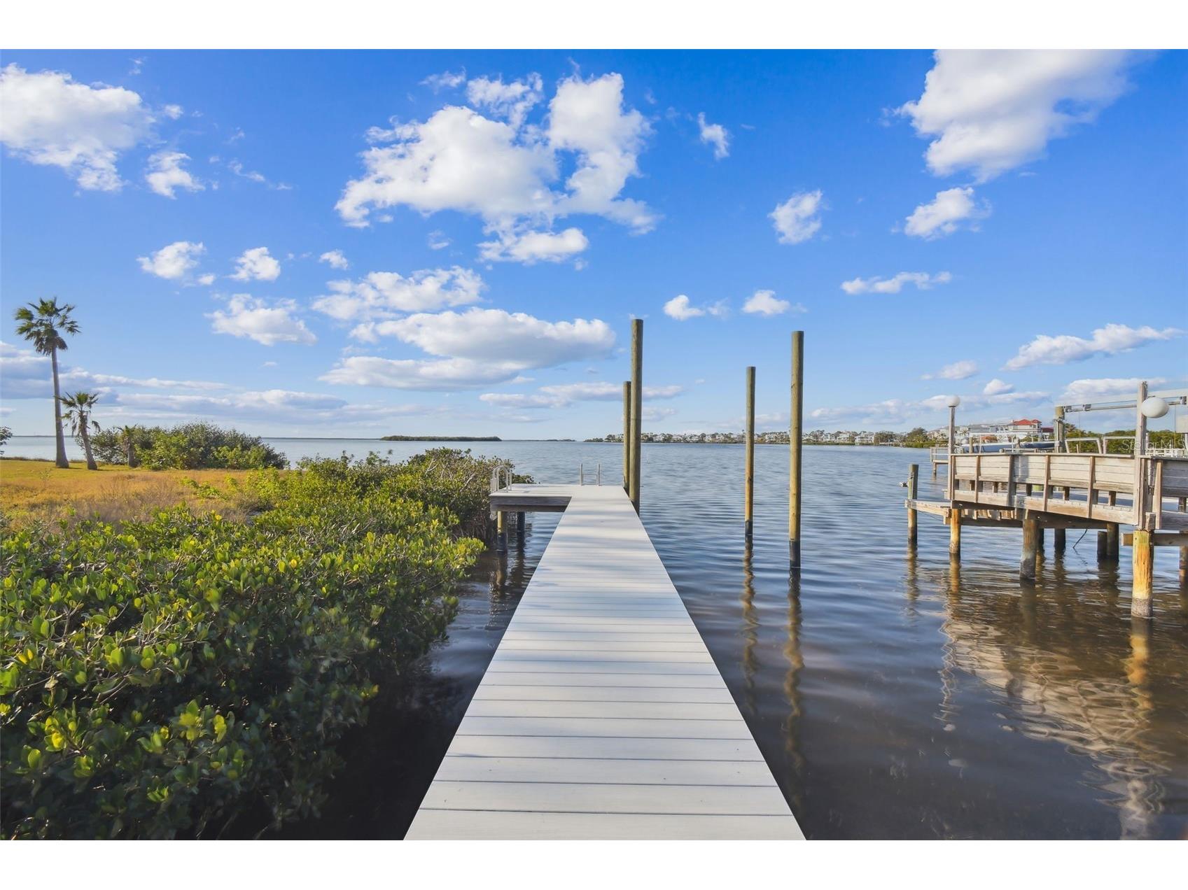 1640 Sea Breeze Drive Tarpon Springs FL 34689 - GULF OF MEXICO TB8346641 image7