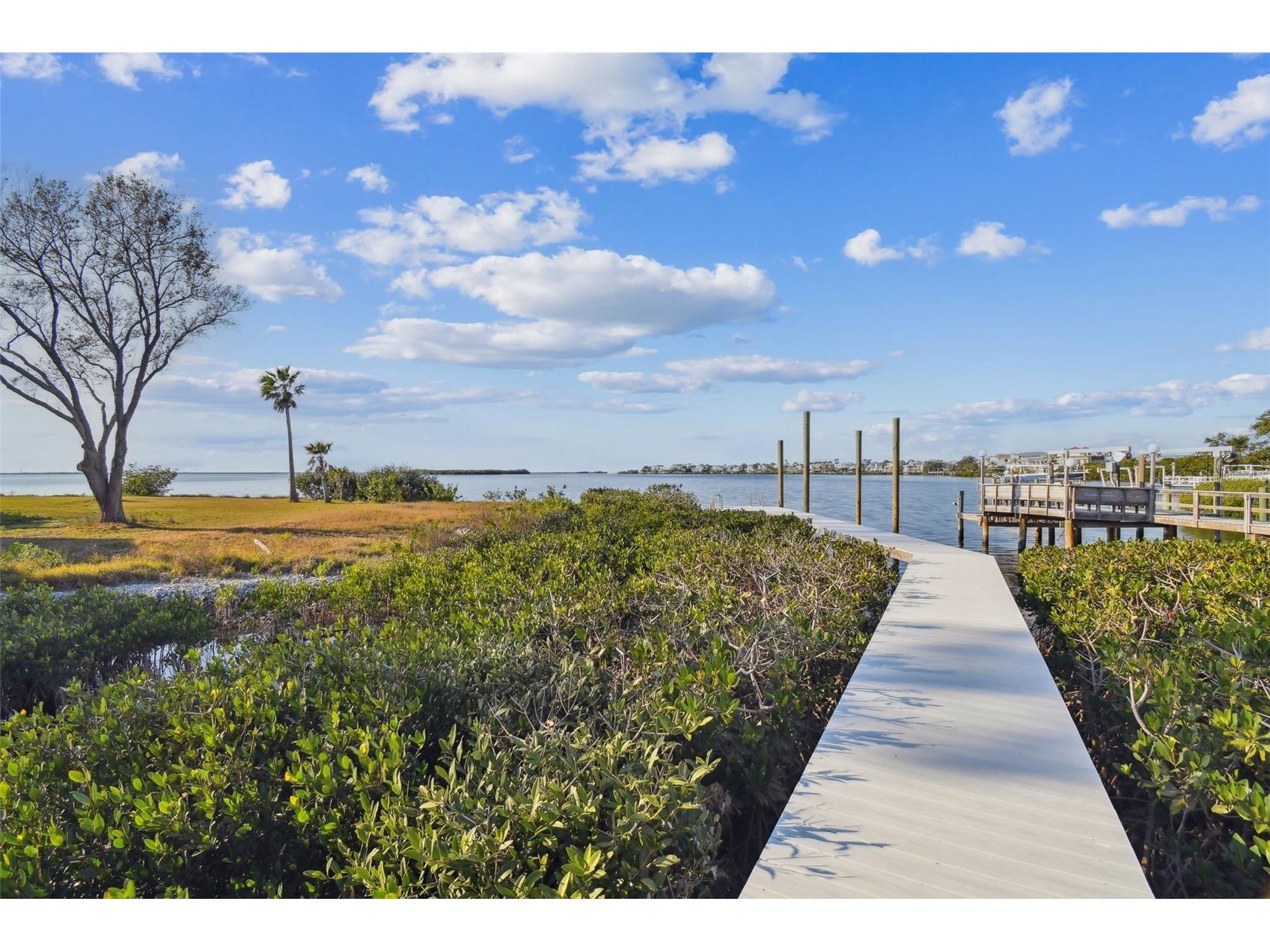 1640 Sea Breeze Drive Tarpon Springs FL 34689 - GULF OF MEXICO TB8346641 image71