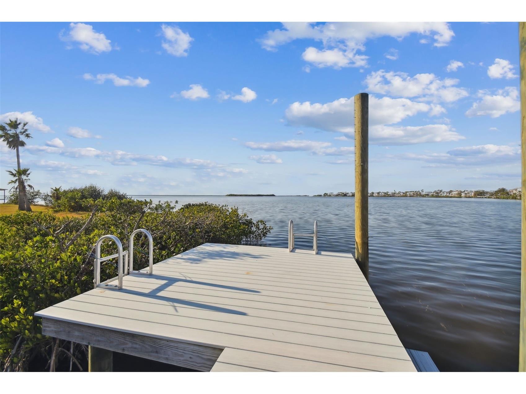 1640 Sea Breeze Drive Tarpon Springs FL 34689 - GULF OF MEXICO TB8346641 image8