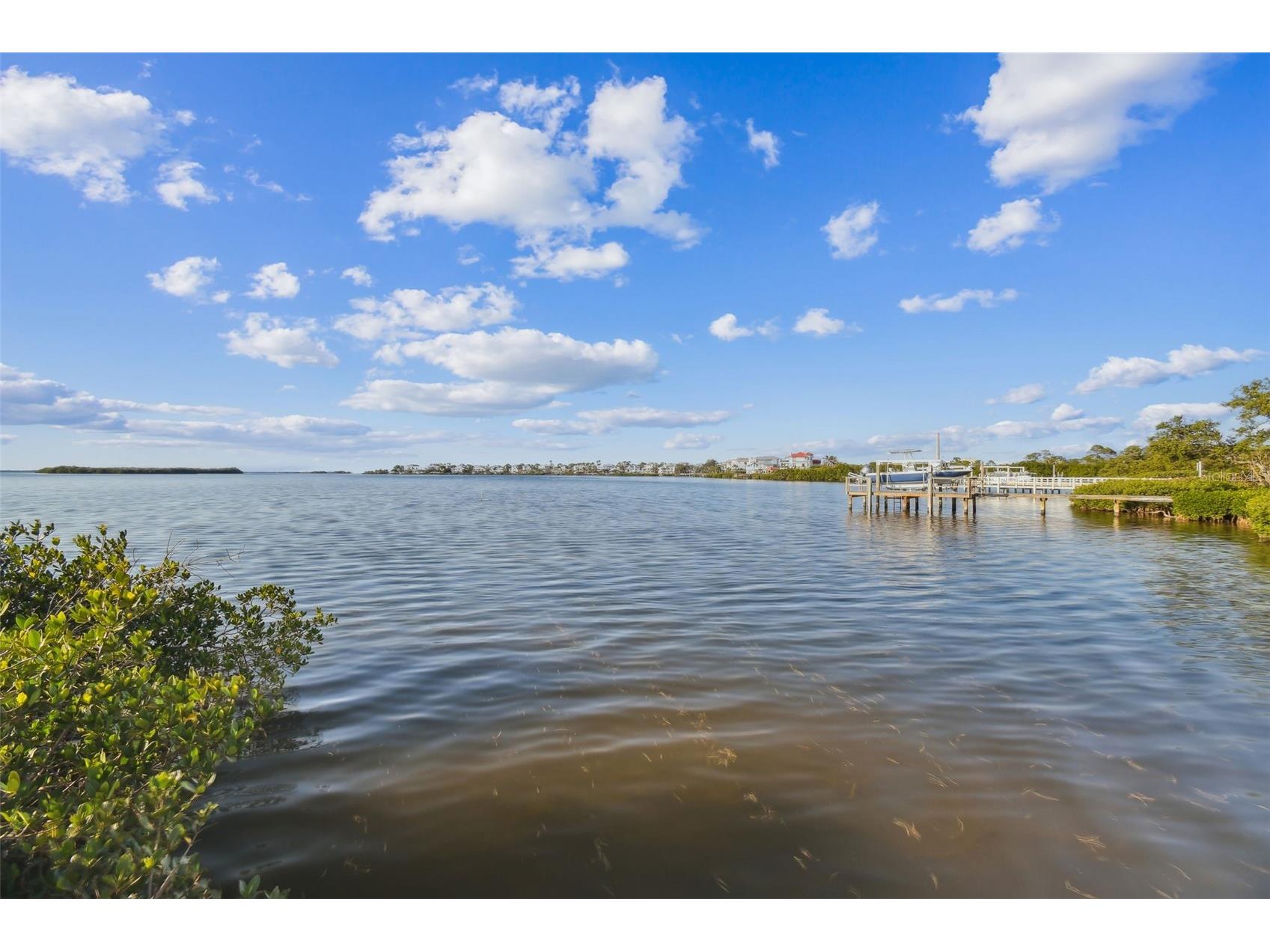 1640 Sea Breeze Drive Tarpon Springs FL 34689 - GULF OF MEXICO TB8346641 image9