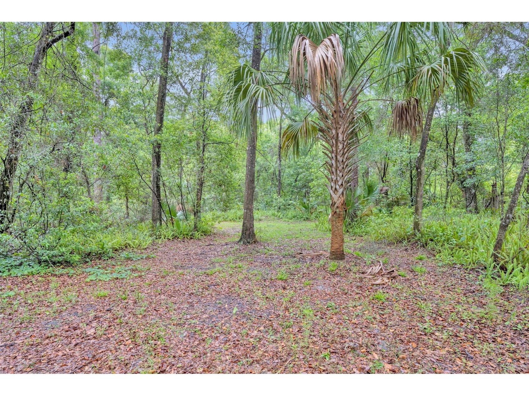 1640 Strathcona Avenue Deland FL 32720 O6396861 image54