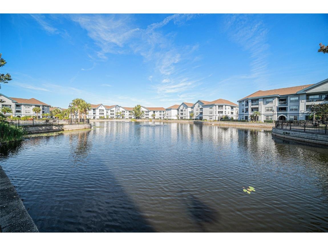 1640 Villa Capri Circle #301 Odessa FL 33556 TB8444645 image16