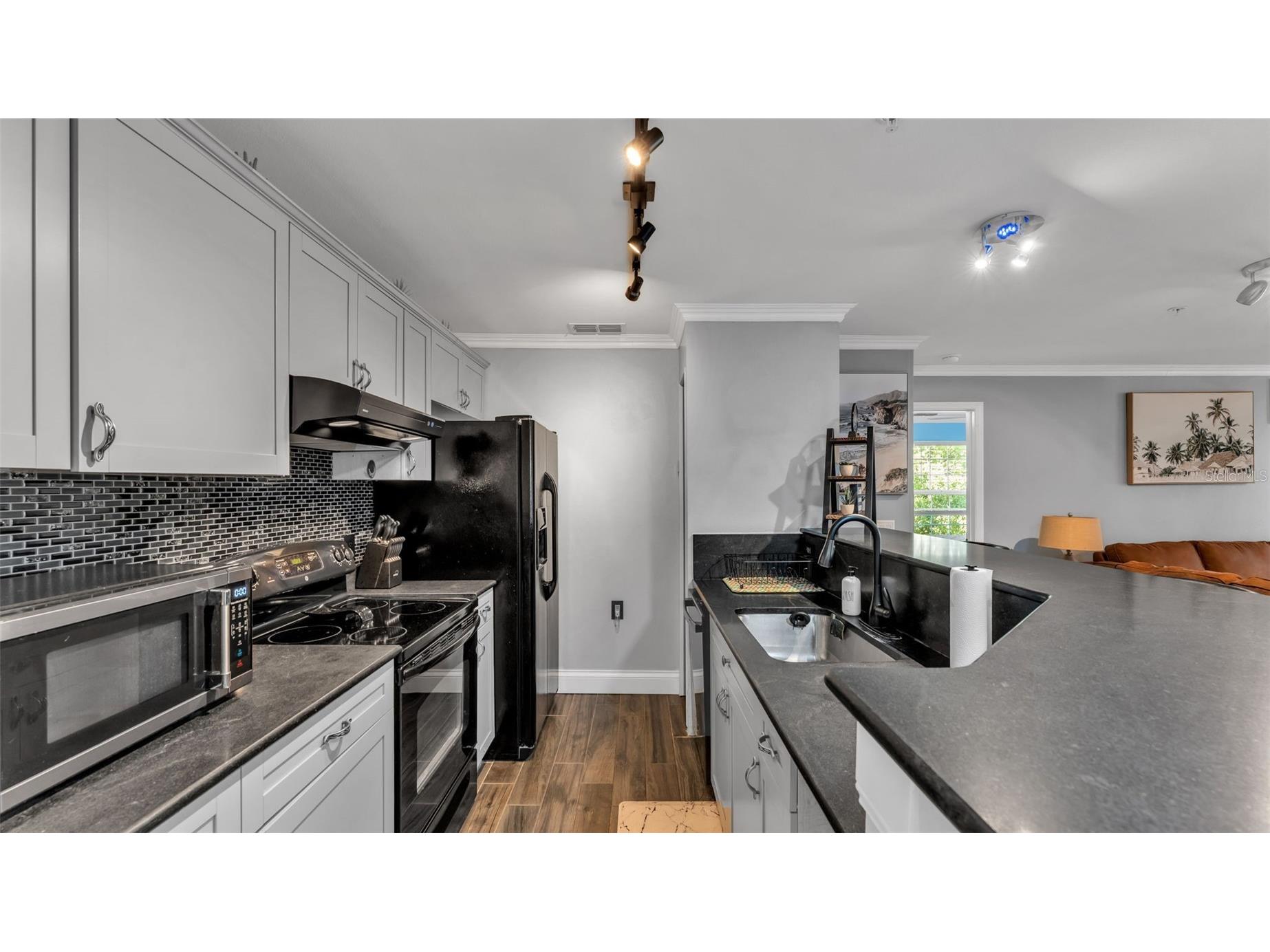 1640 Villa Capri Circle #303 Odessa FL 33556 L4961114 image5