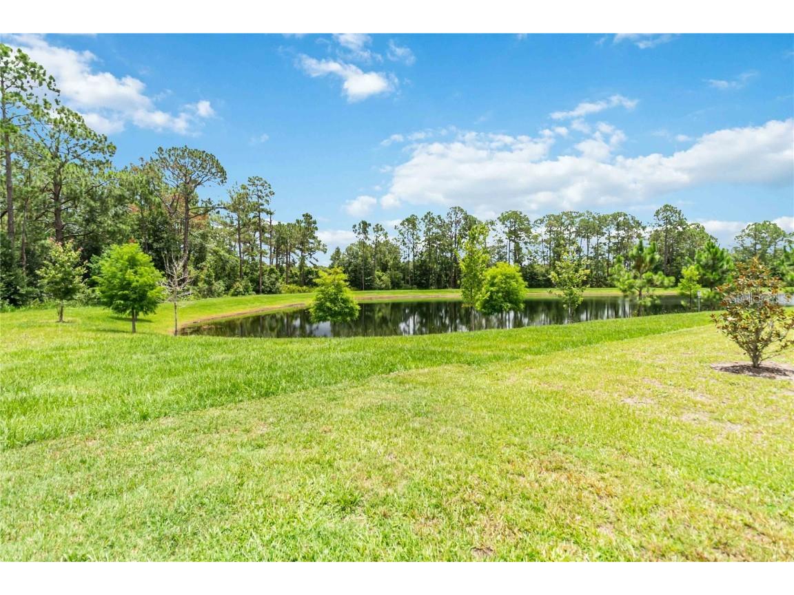 16400 Winding Preserve Circle Clermont FL 34714 O6324879 image28