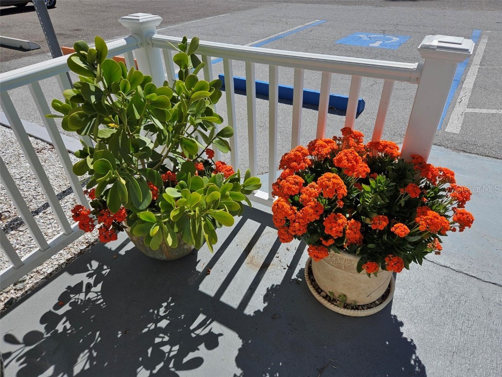 16401 Gulf Boulevard Redington Beach FL 33708 TB8347351 image21