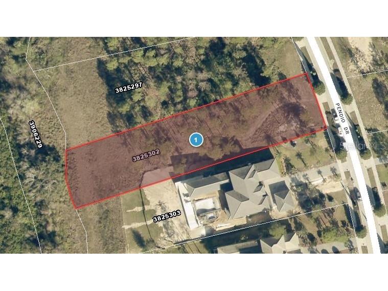 16401 Pendio Drive Montverde FL 34756 - LAKE APOPKA G5111713 image2