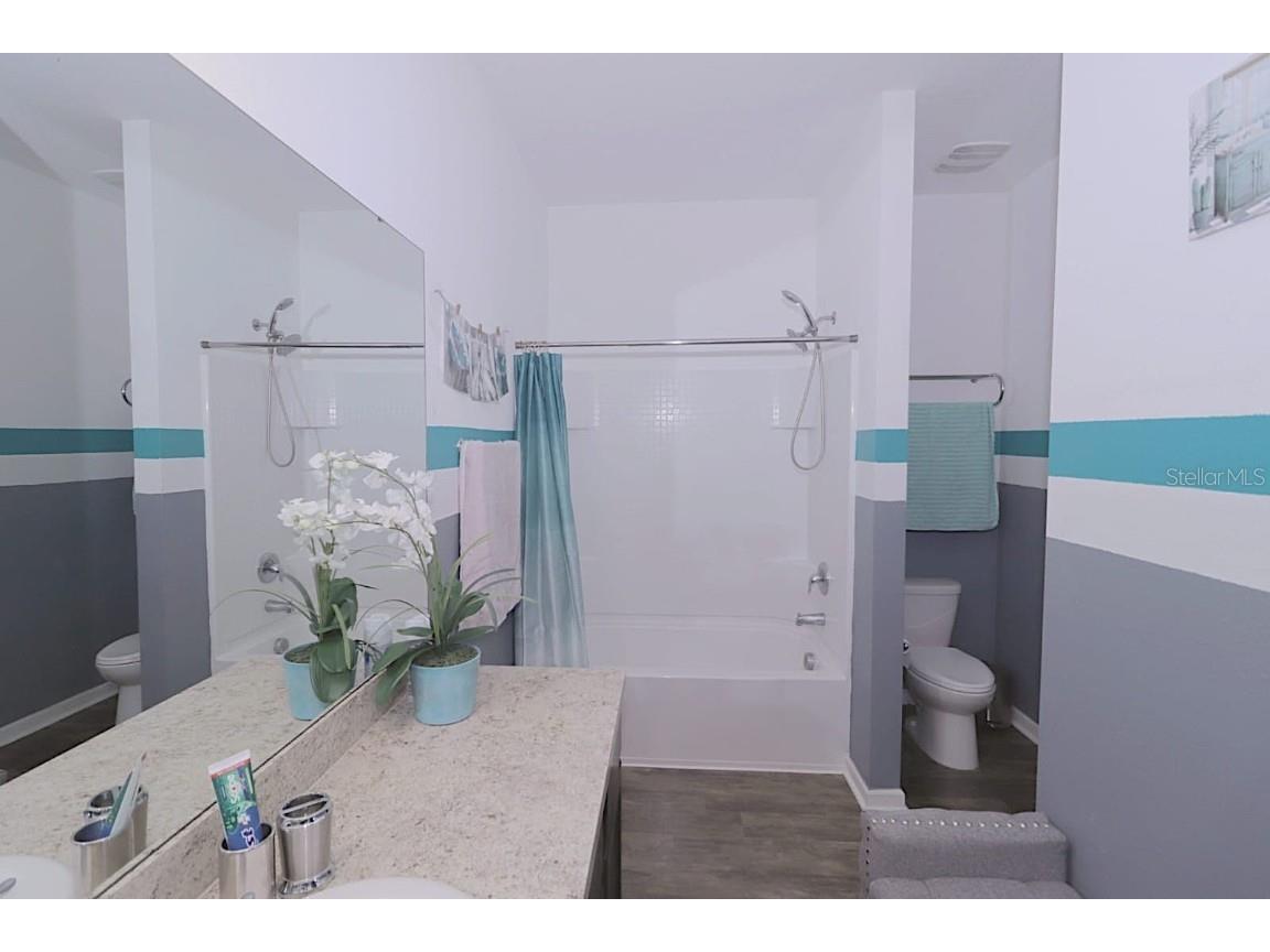 16402 Blooming Cherry Drive Groveland FL 34736 S5140359 image14