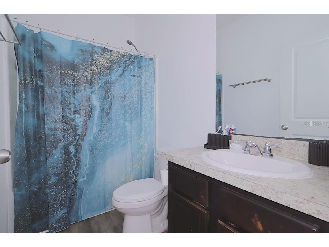 16402 Blooming Cherry Drive Groveland FL 34736 S5140359 image18