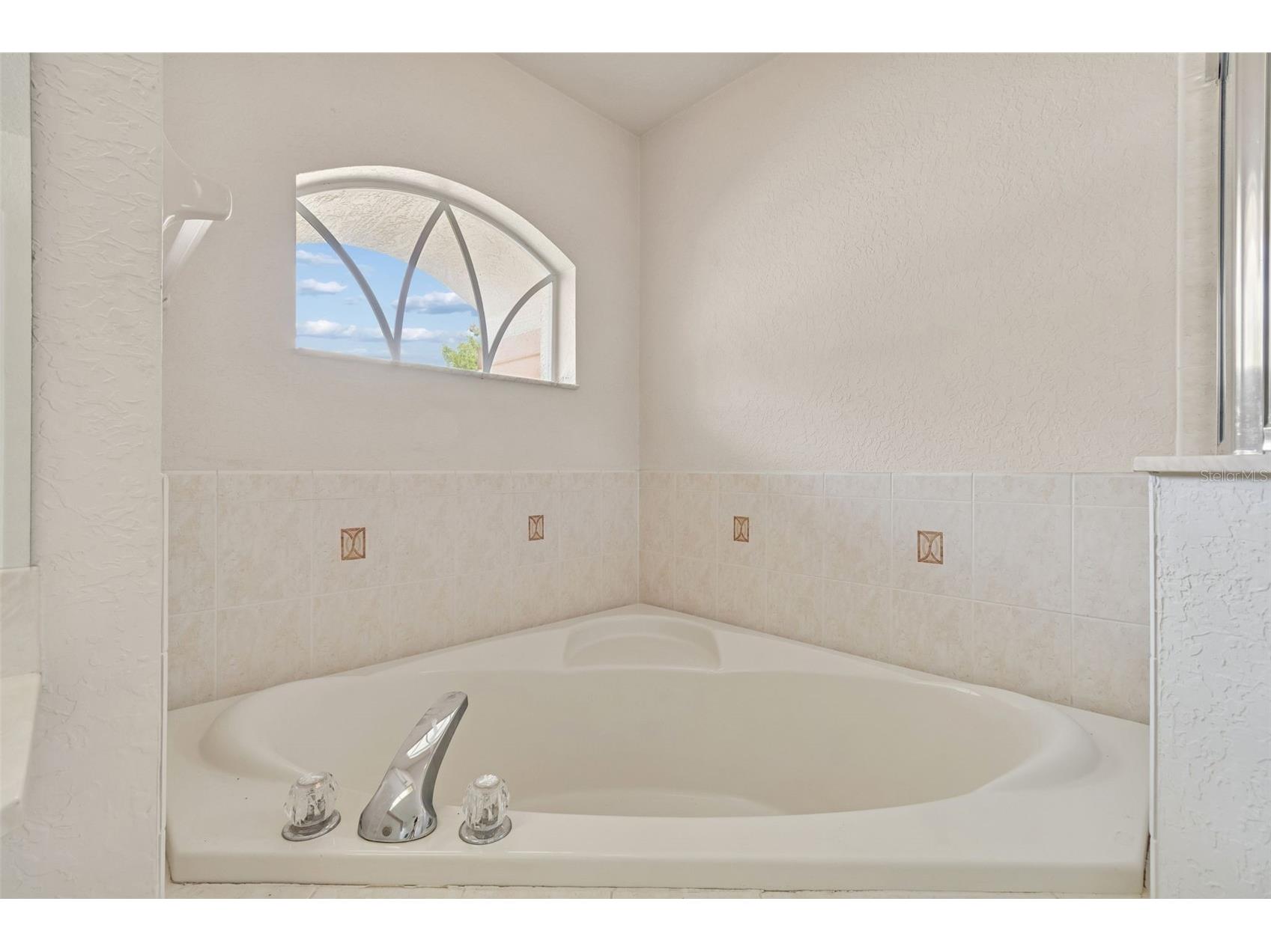 16402 Fringe Tree Drive Spring Hill FL 34610 TB8482716 image36