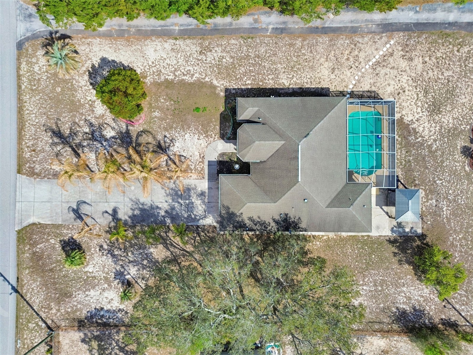 16402 Fringe Tree Drive Spring Hill FL 34610 TB8482716 image88