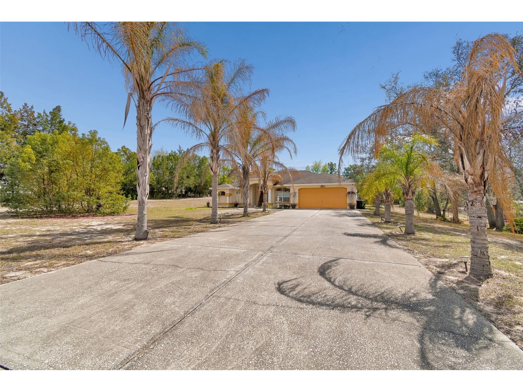 16402 Fringe Tree Drive Spring Hill FL 34610 TB8482716 image95
