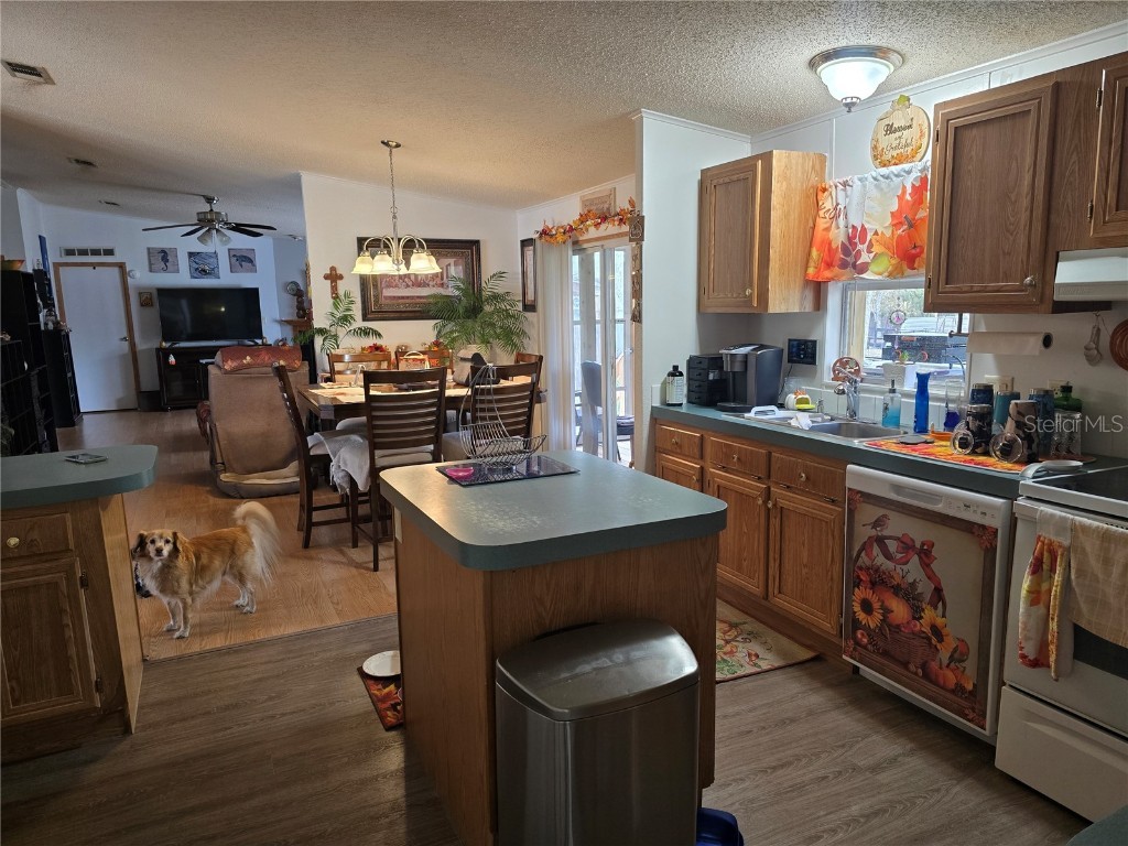 16403 Bosley Drive Spring Hill FL 34610 W7880614 image10