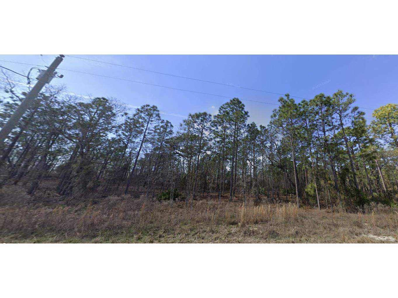 16403 Greenback Road Weeki Wachee FL 34614 W7862764 image1