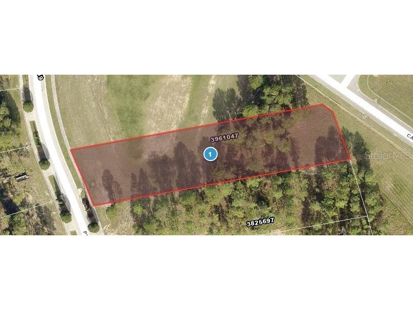 16404 Pendio Drive Montverde FL 34756 J997225 image1