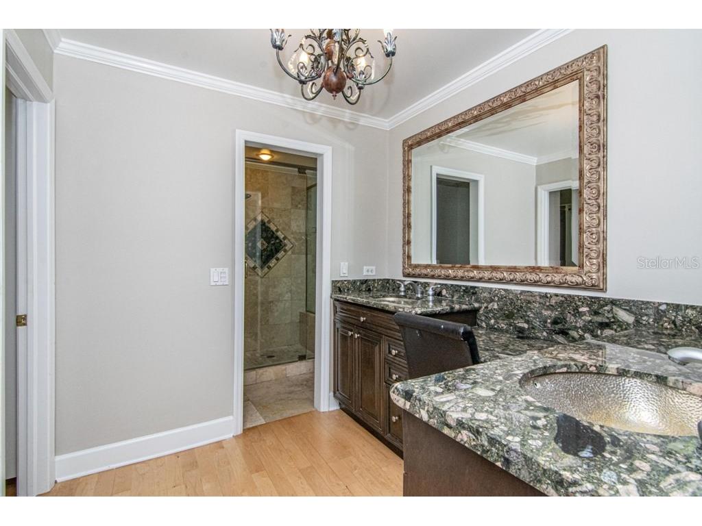 16405 Avila Boulevard Tampa FL 33613 TB8454692 image28