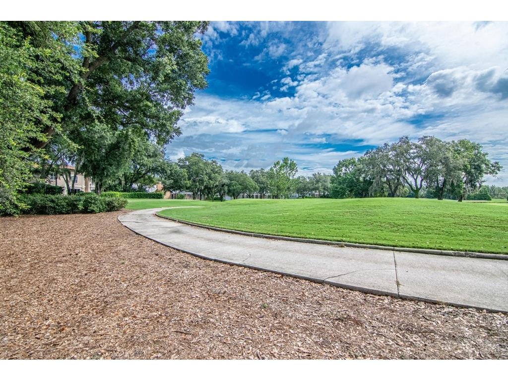 16405 Avila Boulevard Tampa FL 33613 TB8454692 image58