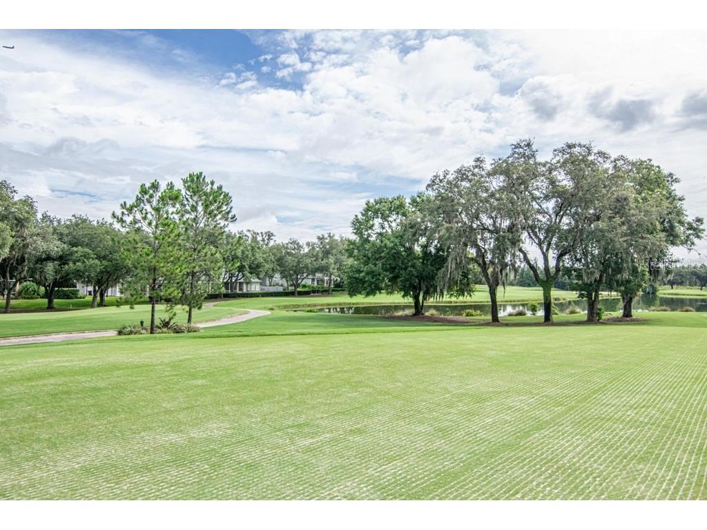 16405 Avila Boulevard Tampa FL 33613 TB8454692 image60