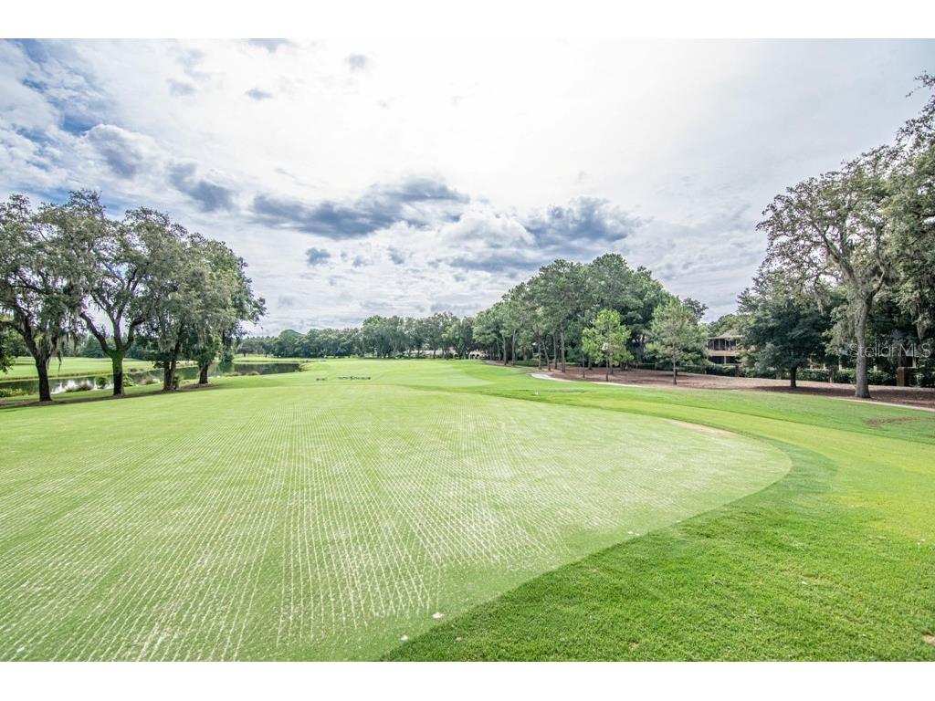 16405 Avila Boulevard Tampa FL 33613 TB8454692 image61