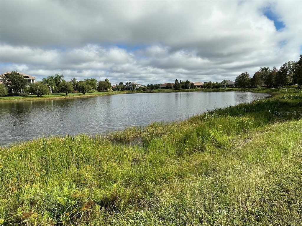 16405 Baycross Drive Lakewood Ranch FL 34202 A4591756 image1