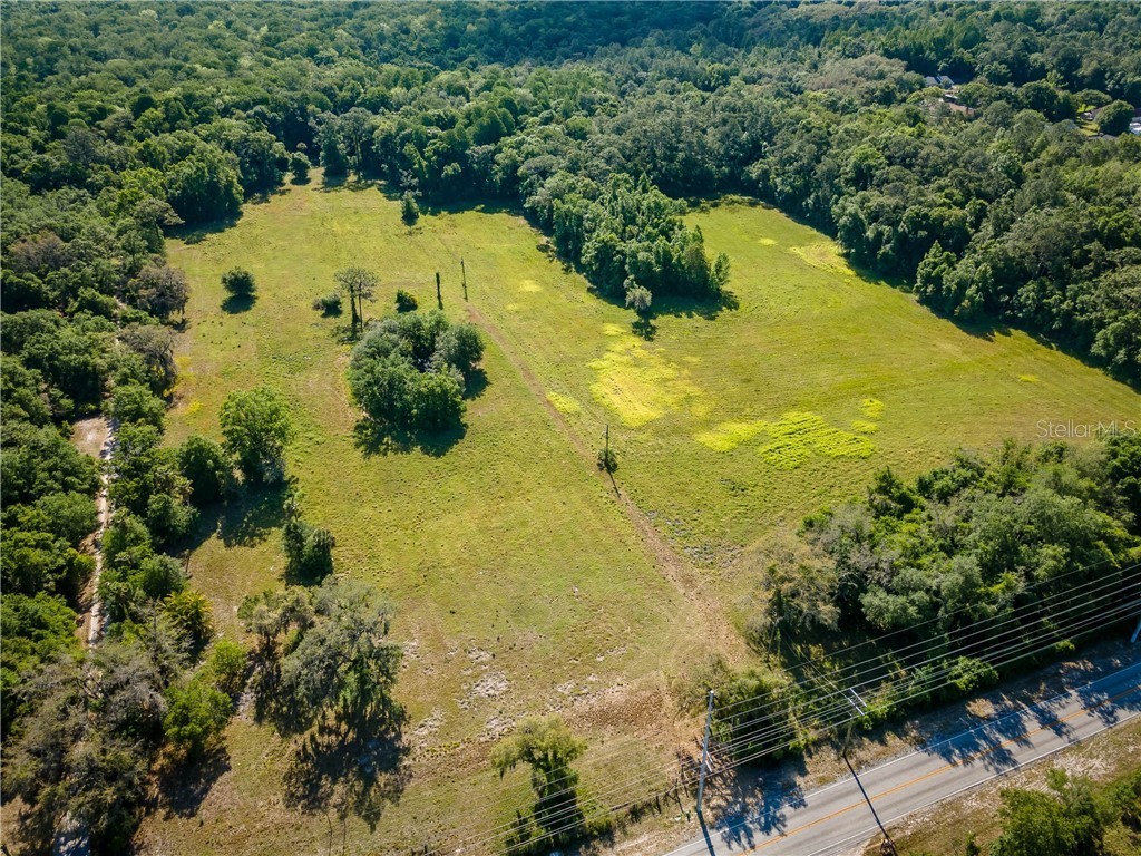 16405 Livingston Avenue Lutz FL 33559 T3300547 image1