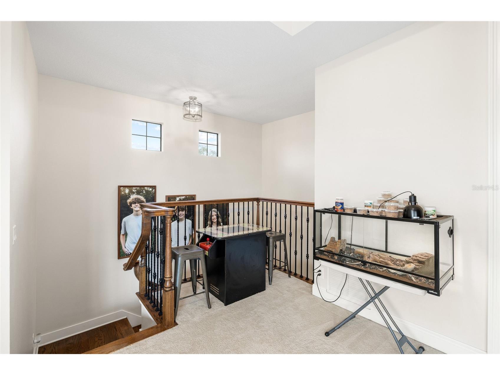 16406 Chapman Crossing Drive Lithia FL 33547 TB8479120 image32