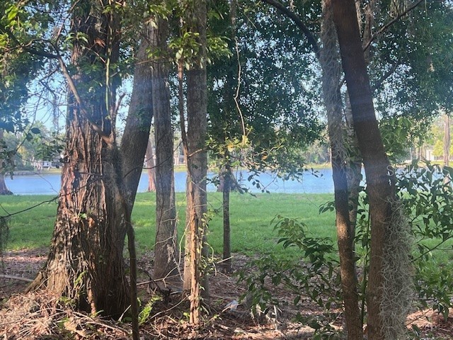 16406 Lake Byrd Drive Tampa FL 33618 TB8483947 image13