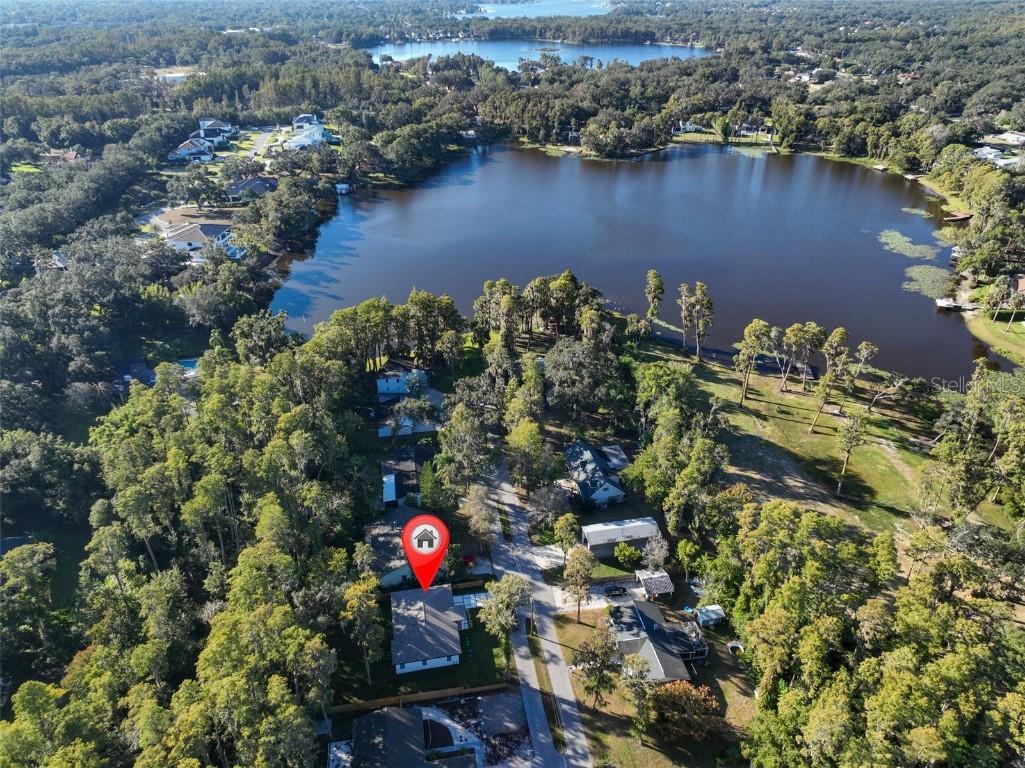 16407 Lake Byrd Drive Tampa FL 33618 TB8445769 image54