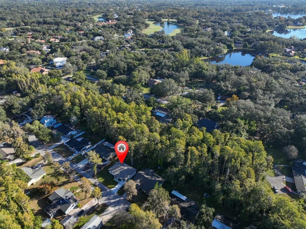 16407 Lake Byrd Drive Tampa FL 33618 TB8445769 image57