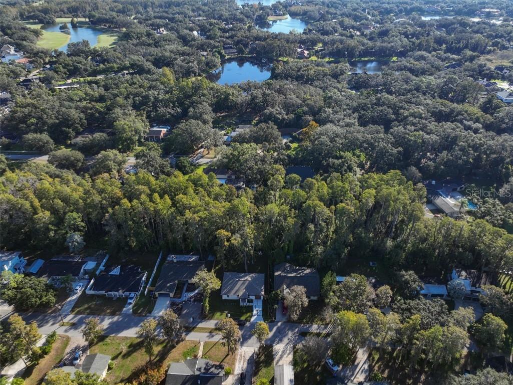 16407 Lake Byrd Drive Tampa FL 33618 TB8445769 image58