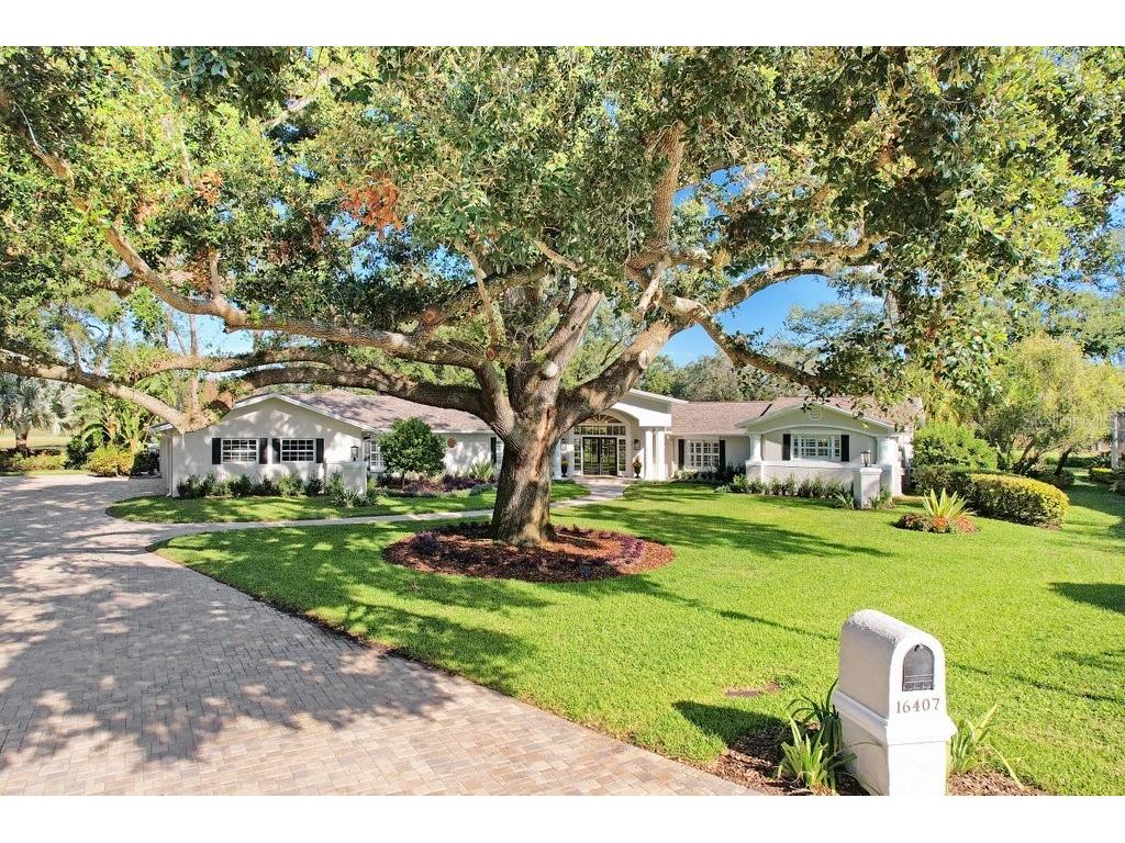 16407 Zurraquin De Avila Tampa FL 33613 TB8327401 image1