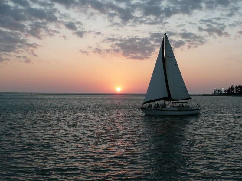 1641 Memory Lane Sarasota FL 34231 A4671198 image63