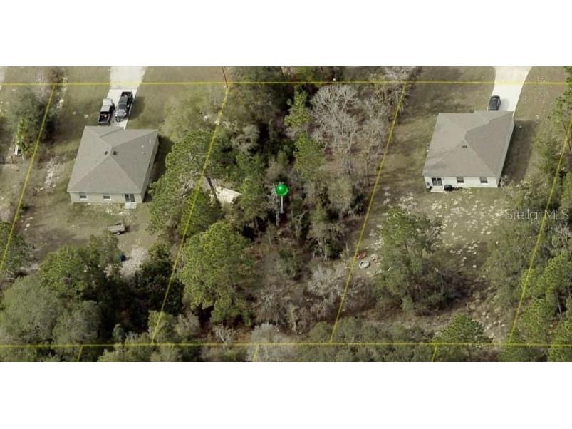 16410 Crane Road Weeki Wachee FL 34614 T3460454 image1