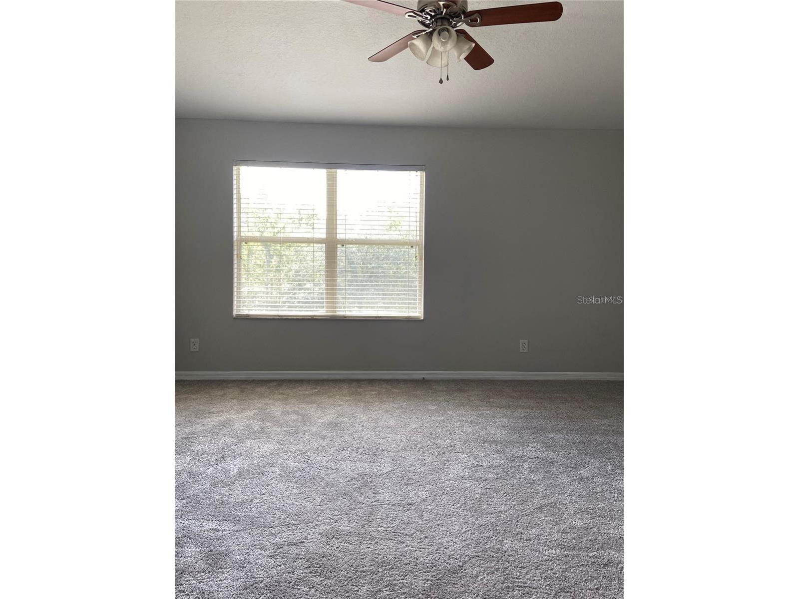 16410 Swan View Circle Odessa FL 33556 TB8436562 image11