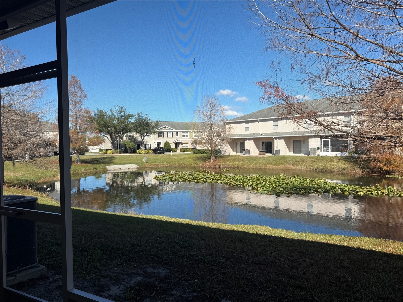 16410 Swan View Circle Odessa FL 33556 TB8436562 image23