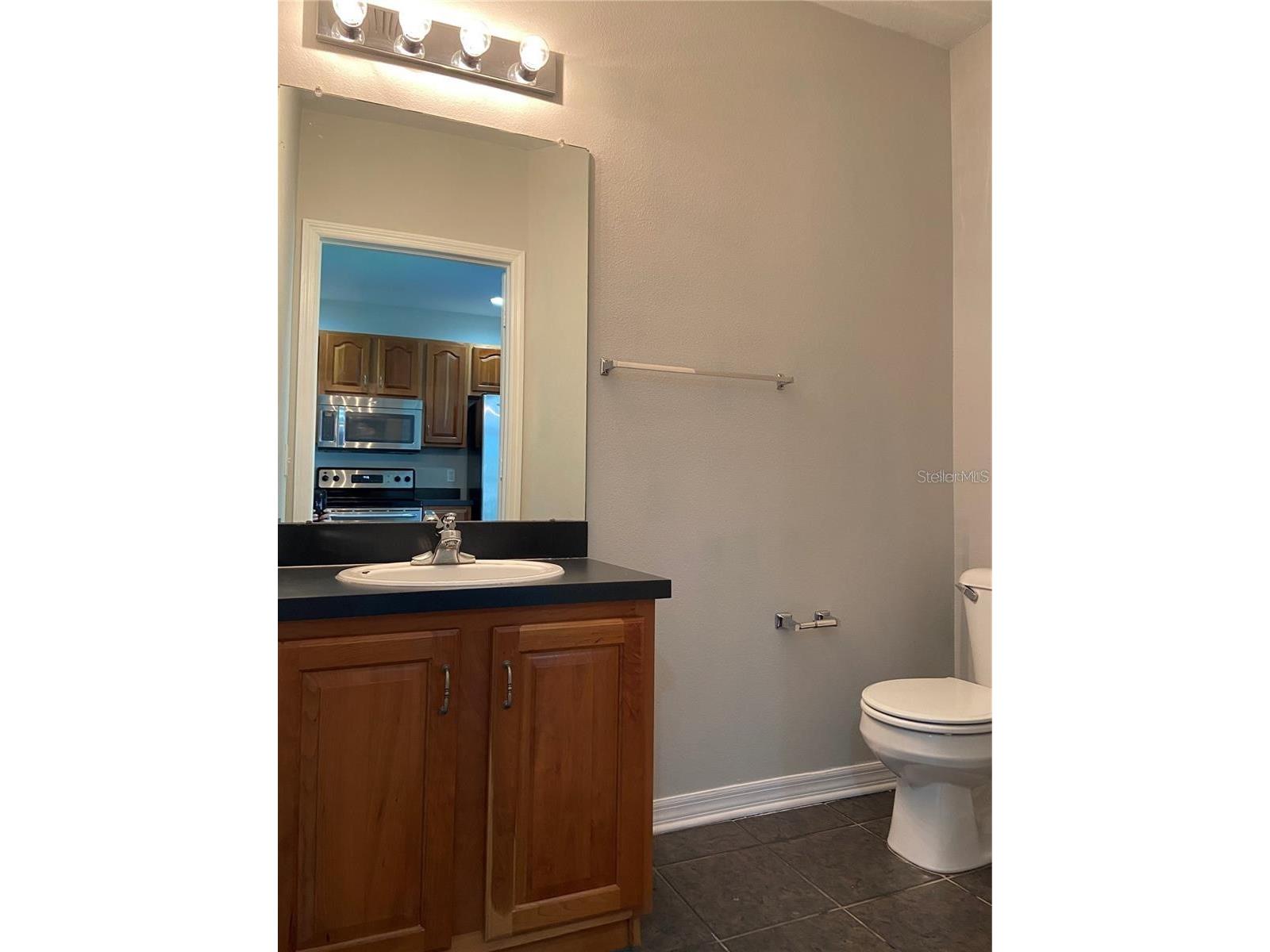 16410 Swan View Circle Odessa FL 33556 TB8436562 image5