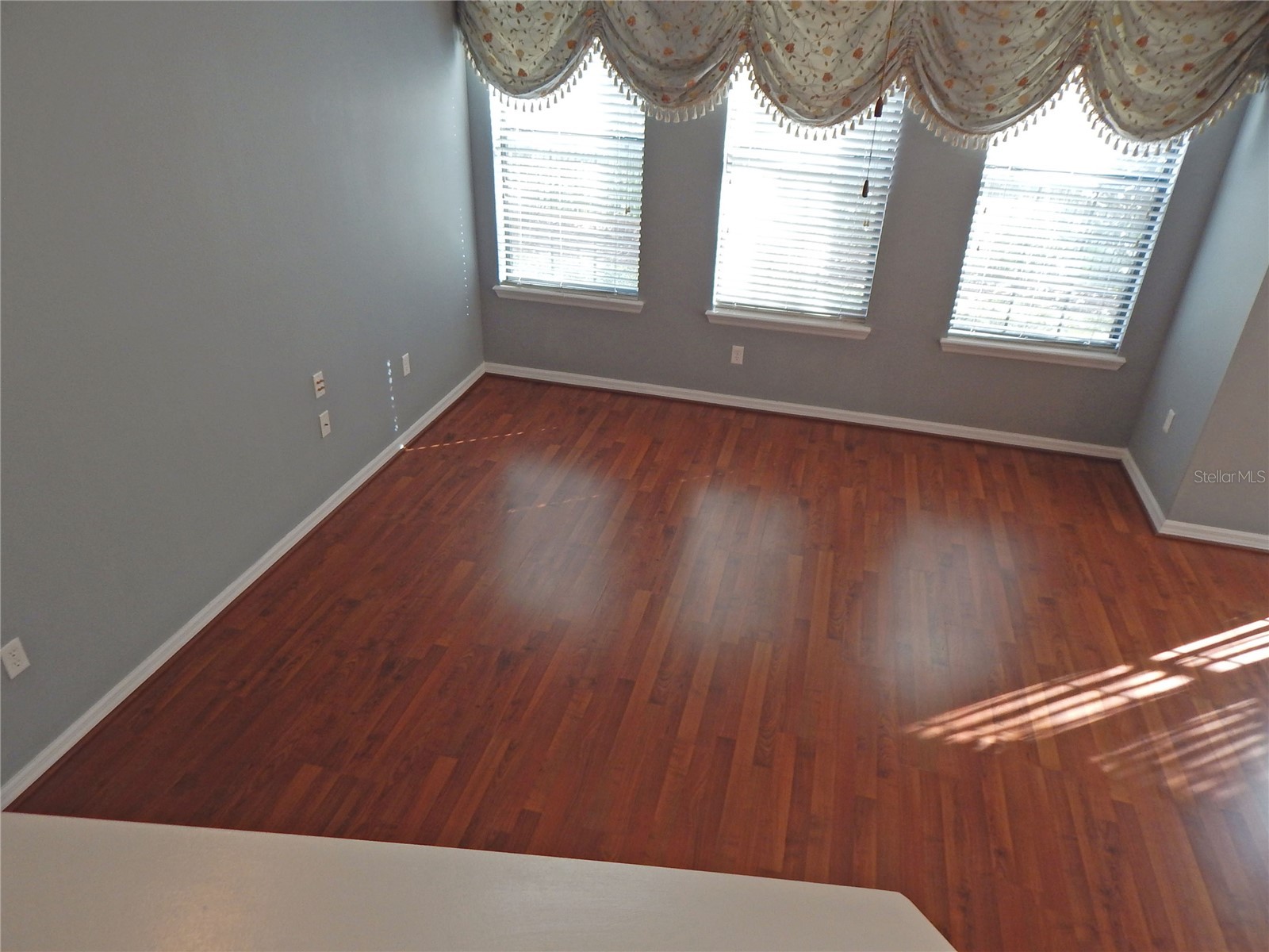16411 Kingletridge Avenue Lithia FL 33547 TB8508782 image14