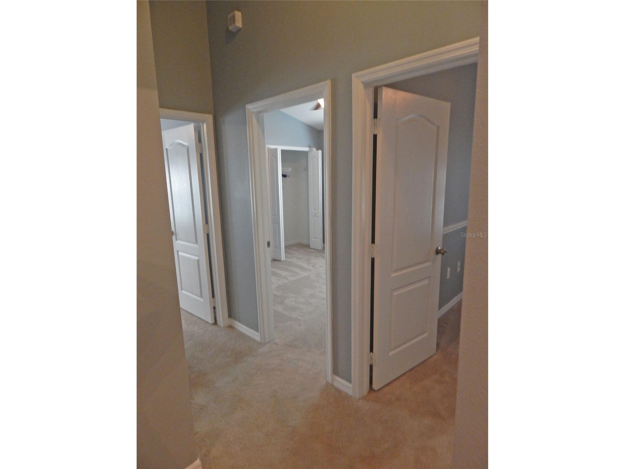 16411 Kingletridge Avenue Lithia FL 33547 TB8508782 image18
