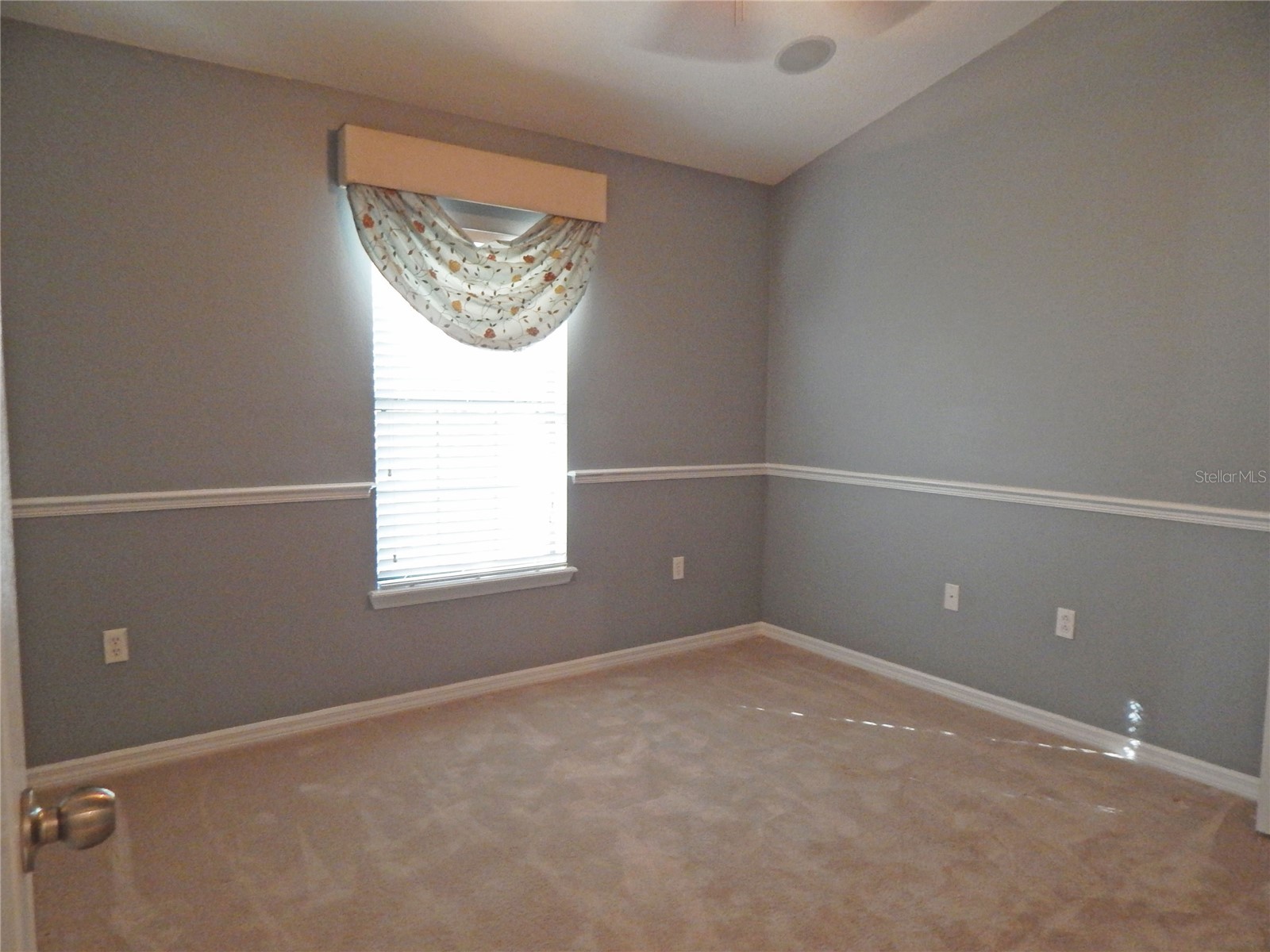 16411 Kingletridge Avenue Lithia FL 33547 TB8508782 image25