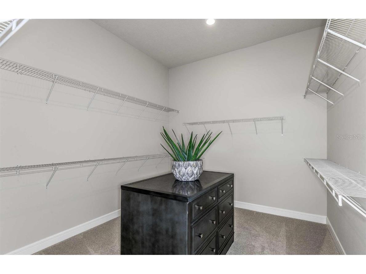 16412 Rustic Sky Drive Spring Hill FL 34610 TB8438147 image10