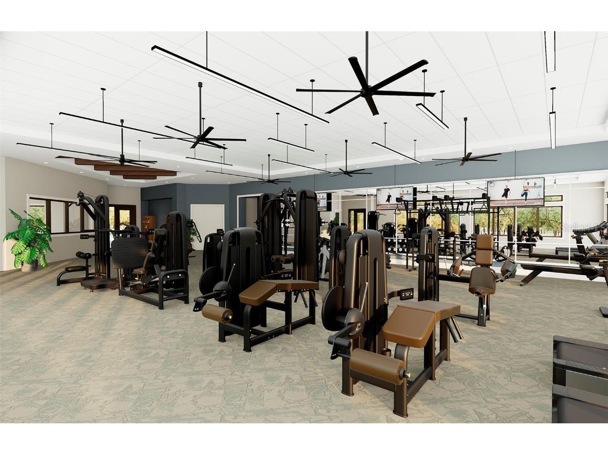 16412 Rustic Sky Drive Spring Hill FL 34610 TB8438147 image24