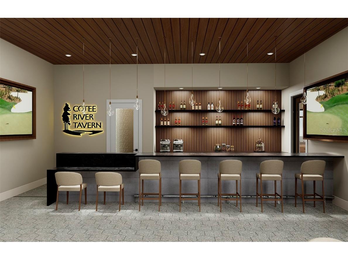 16412 Rustic Sky Drive Spring Hill FL 34610 TB8438147 image30