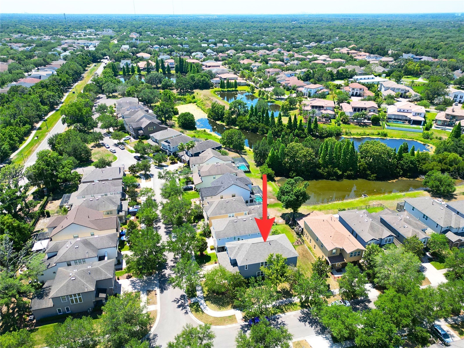 16414 Egret Crossing Lane Lithia FL 33547 TB8508948 image5