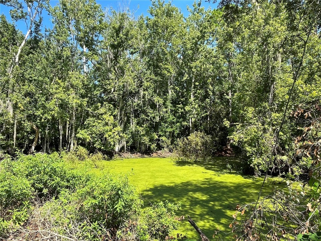 16415 Bearle Road Orlando FL 32828 O6041970 image11