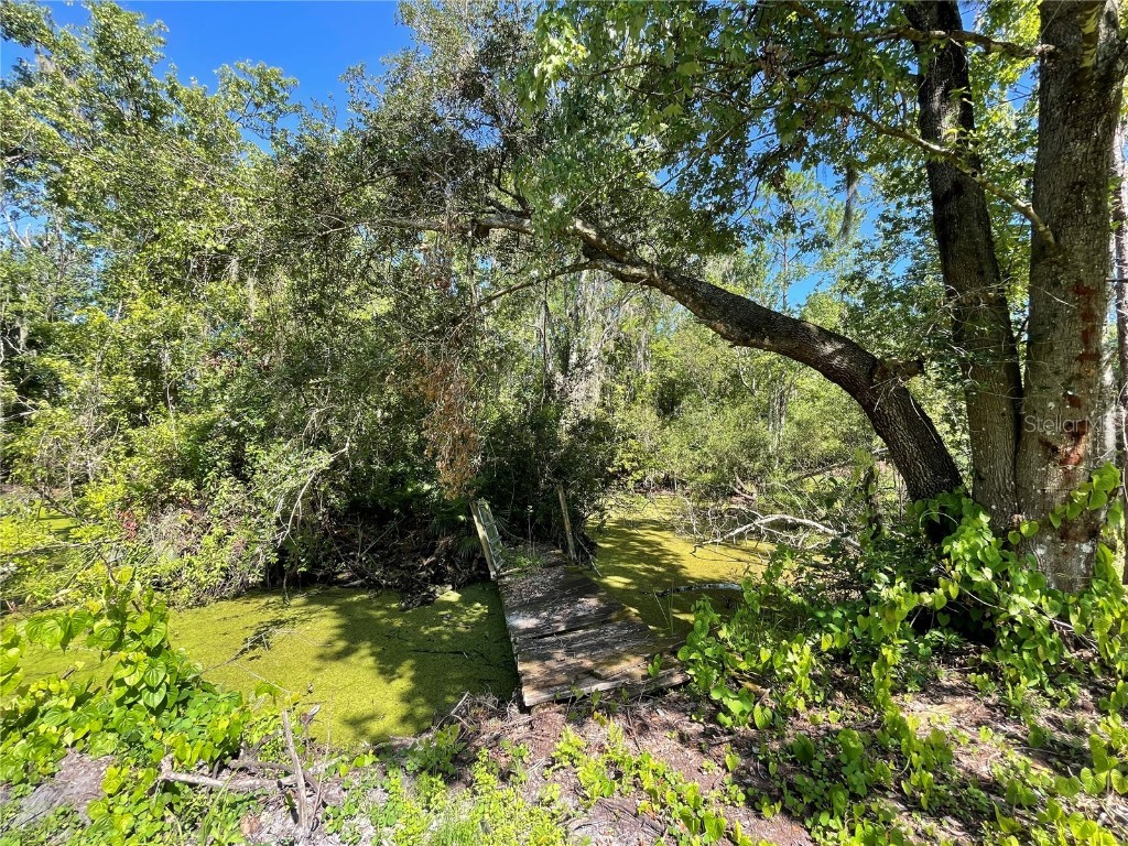 16415 Bearle Road Orlando FL 32828 O6041970 image12