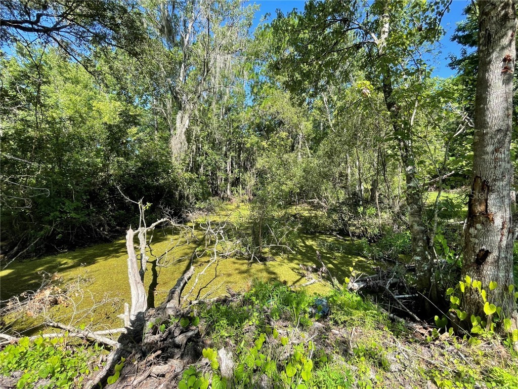 16415 Bearle Road Orlando FL 32828 O6041970 image13