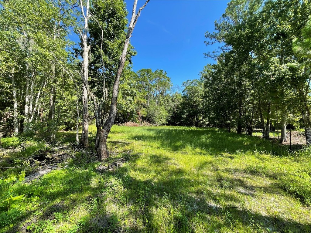 16415 Bearle Road Orlando FL 32828 O6041970 image14