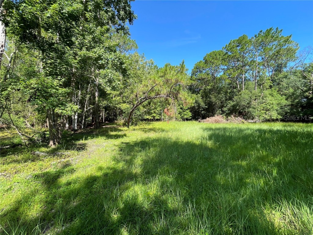 16415 Bearle Road Orlando FL 32828 O6041970 image15