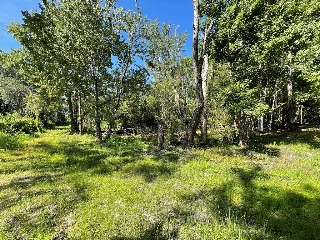 16415 Bearle Road Orlando FL 32828 O6041970 image16