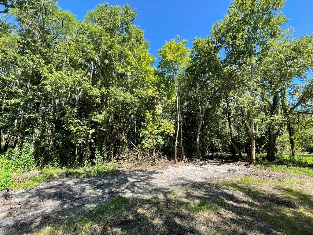 16415 Bearle Road Orlando FL 32828 O6041970 image20