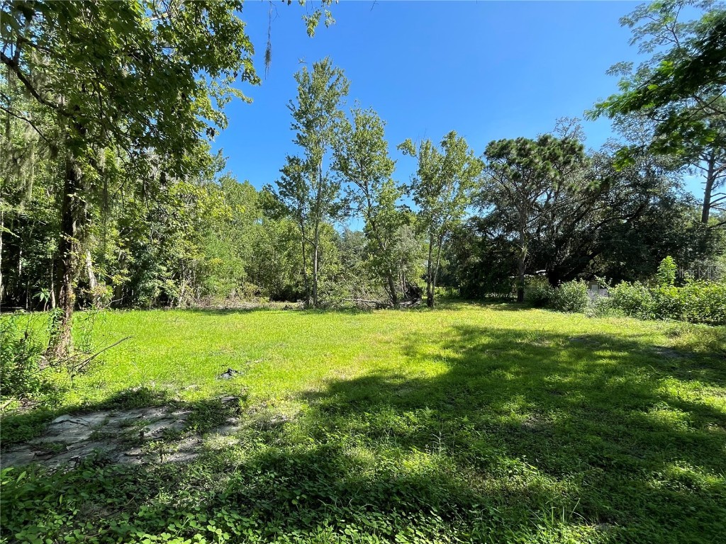 16415 Bearle Road Orlando FL 32828 O6041970 image6